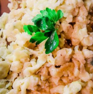German Spaetzle dumplings on a plate