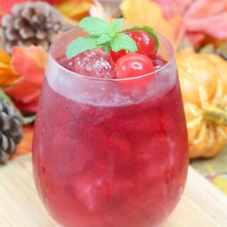 AUTUMN HARVEST HARD CIDER DRINK