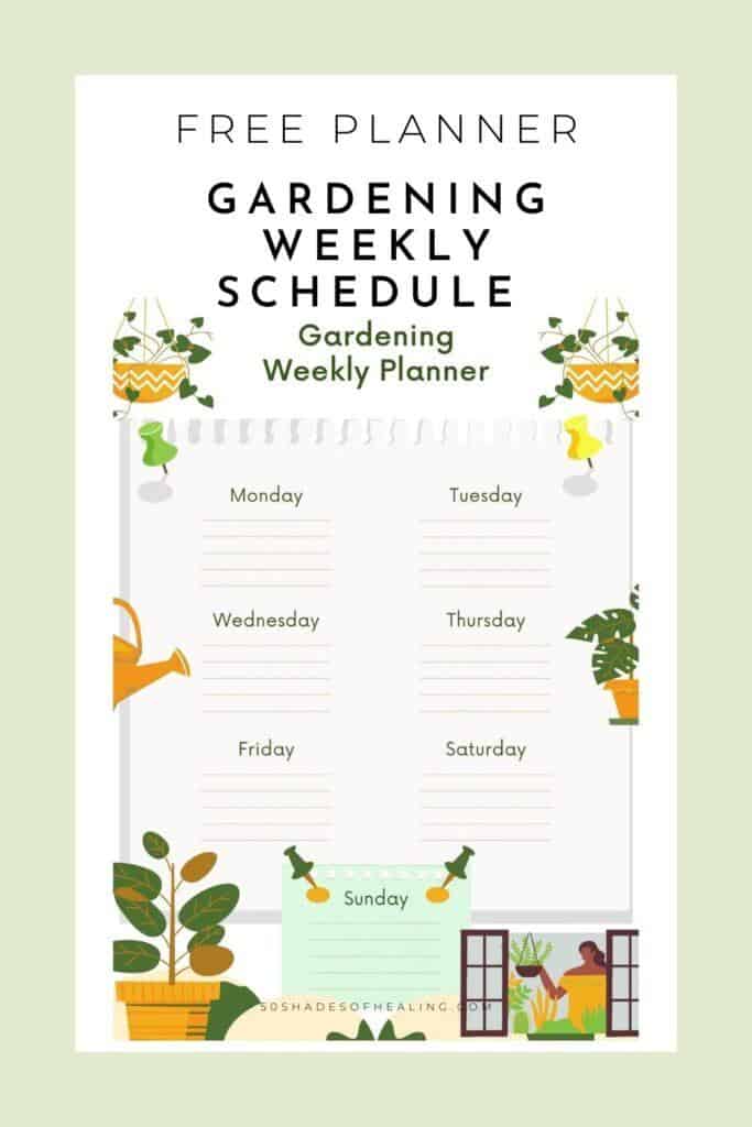 Indoor Herb Garden - (16 Herbs You Can Grow Indoors) 7 Indoor Herb Garden