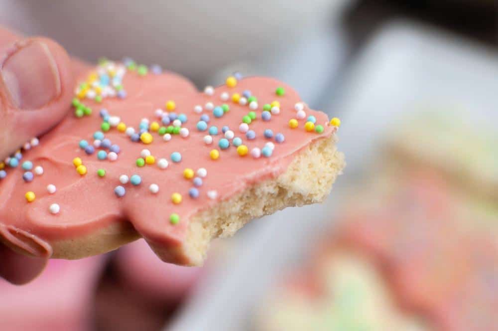 Circus Animal Easter Bunny Sugar Cookies