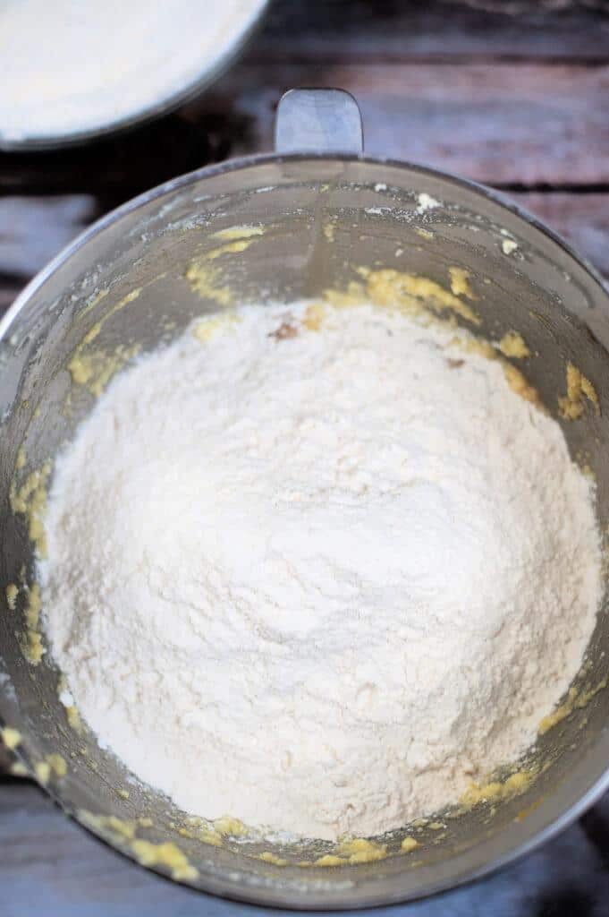 Circus Animal Easter Bunny Sugar Cookies