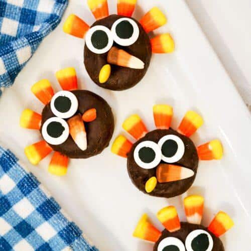DELIGHTFUL TURKEY MINI DONUTS 9 Mini Turkey Donuts