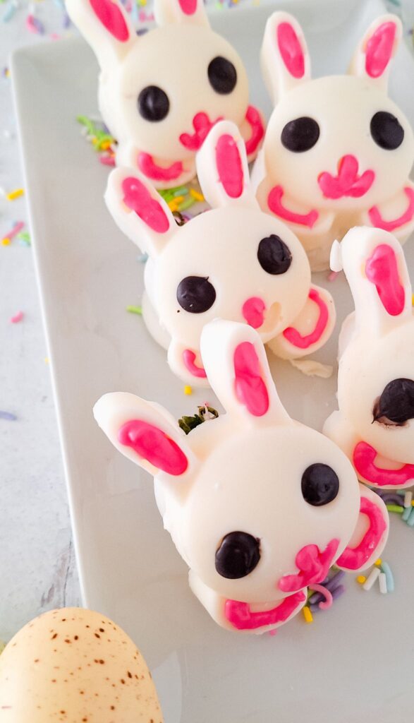 Chocolate Covered Strawberry Bunnies