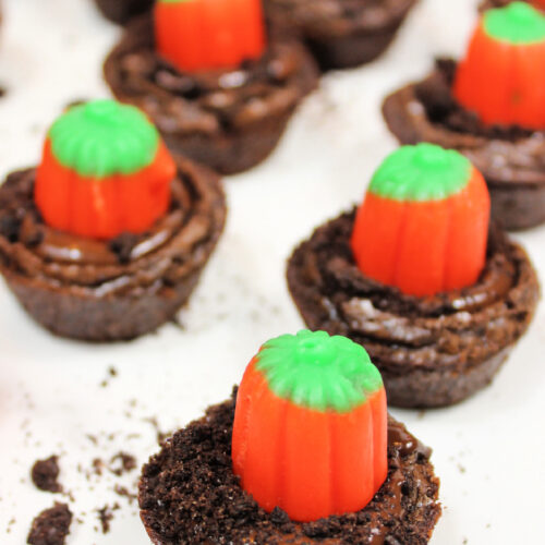 Chocolate brownie bites topped with orange and green pumpkin-shaped candies, arranged on a white surface with cookie crumbs, make these look just like pumpkin patch brownies—perfect mini Halloween brownies for your spooky celebration!.