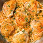 chicken thighs in pan on top of cabbage alfredo sauce