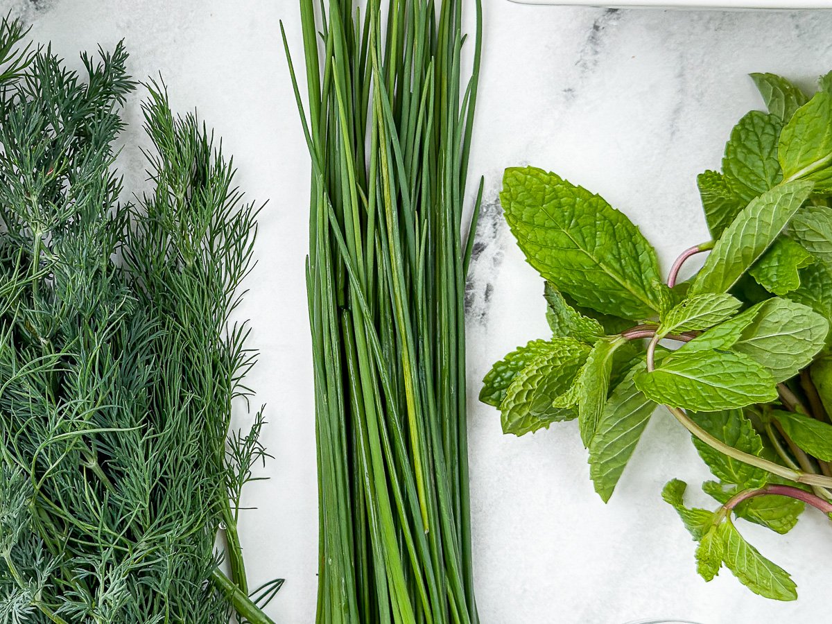 dill, chives and mint on countertop